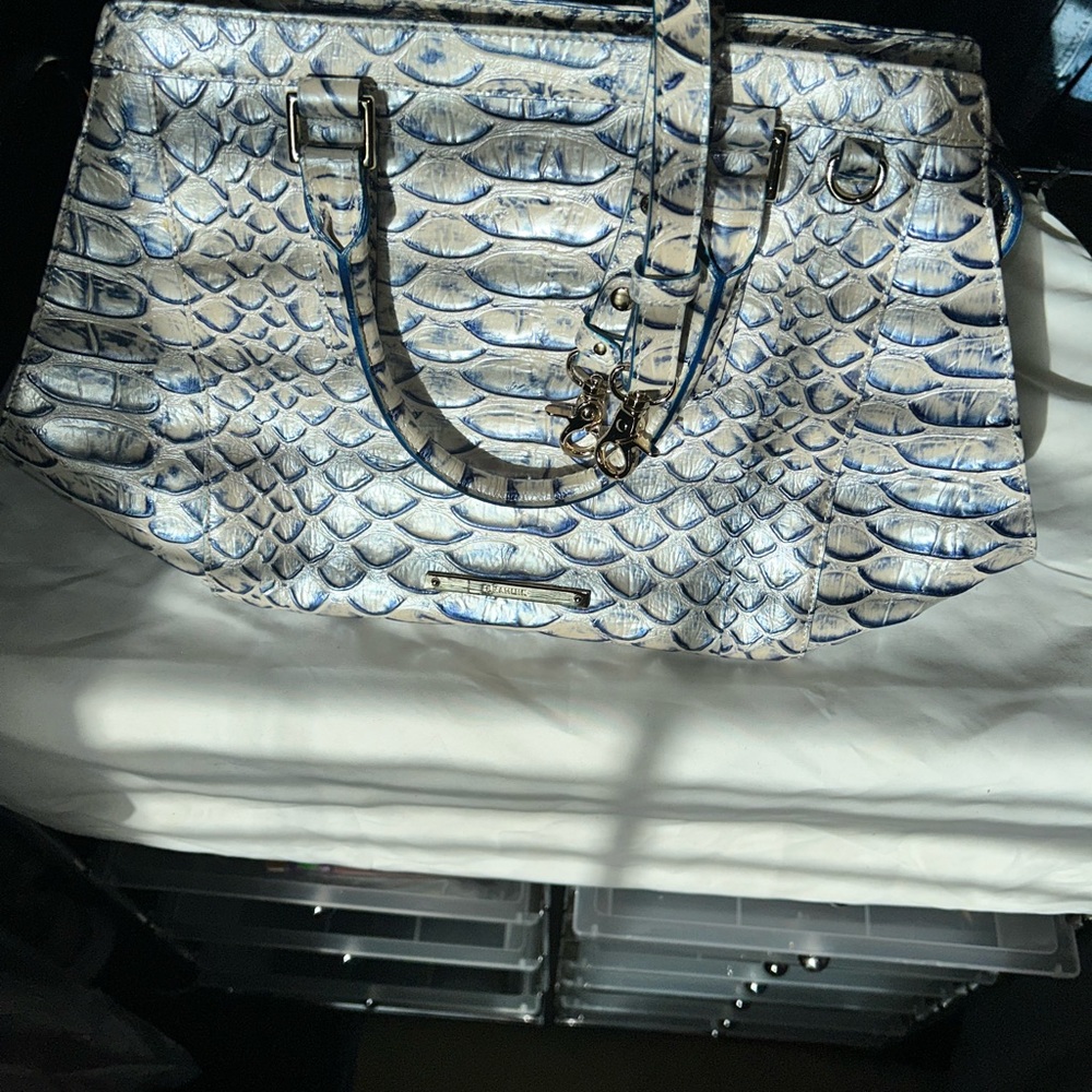 Beautiful BRAHMIN purse with straps